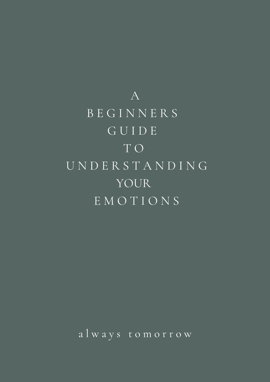A Beginners Guide To Understanding Your Emotions